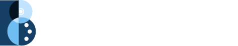 website logo